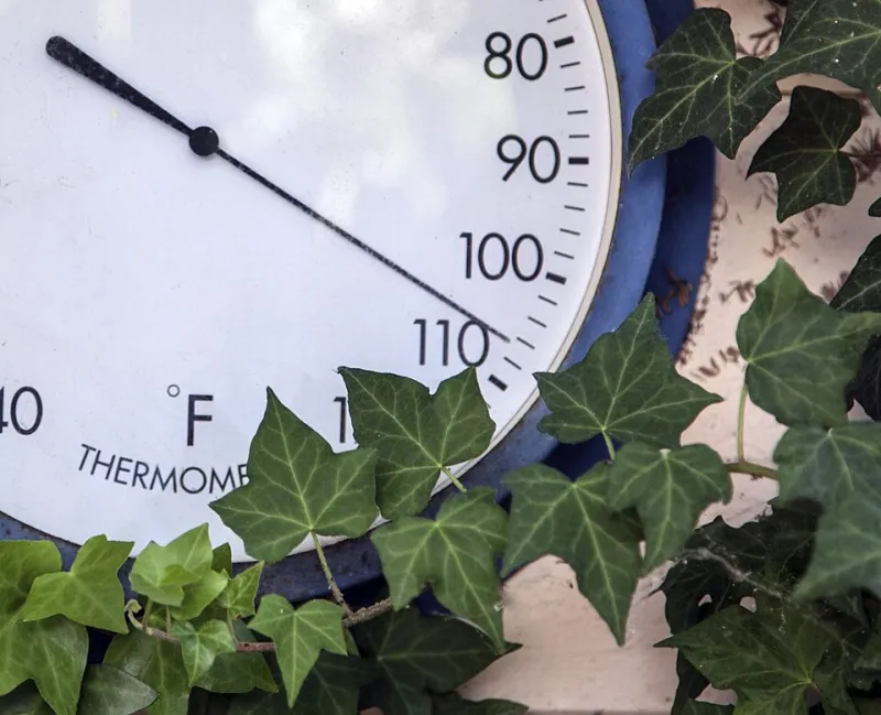 When the Heat Index Rises, So Does Your Medication Risk: A Summer Safety Briefing